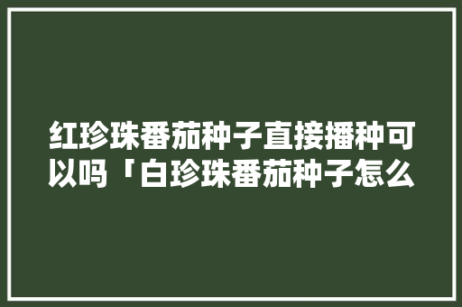 红珍珠番茄种子直接播种可以吗「白珍珠番茄种子怎么种植的」 植物种类 红珍珠番茄种子直接播种可以吗「白珍珠番茄种子怎么种植的」 红珍珠番茄种子直接播种可以吗「白珍珠番茄种子怎么种植的」 植物种类