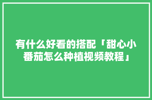 有什么好看的搭配「甜心小番茄怎么种植视频教程」 有什么好看的搭配「甜心小番茄怎么种植视频教程」 番茄种植技巧