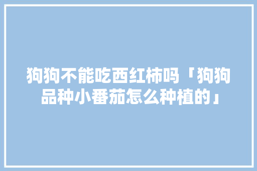 狗狗不能吃西红柿吗「狗狗品种小番茄怎么种植的」