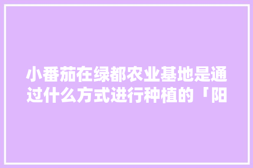小番茄在绿都农业基地是通过什么方式进行种植的「阳光农场小番茄怎么种植的」 小番茄在绿都农业基地是通过什么方式进行种植的「阳光农场小番茄怎么种植的」 种植技巧