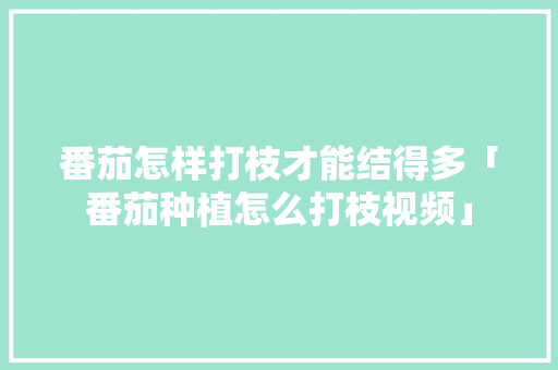 番茄怎样打枝才能结得多「番茄种植怎么打枝视频」 番茄怎样打枝才能结得多「番茄种植怎么打枝视频」 番茄种植技巧
