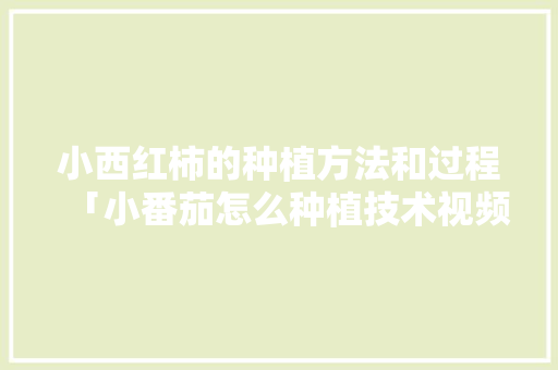 小西红柿的种植方法和过程「小番茄怎么种植技术视频」 小西红柿的种植方法和过程「小番茄怎么种植技术视频」 番茄病虫害防治
