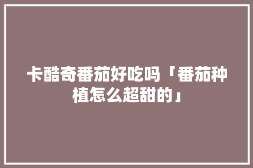 卡酷奇番茄好吃吗「番茄种植怎么超甜的」