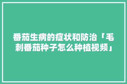 番茄生病的症状和防治「毛刺番茄种子怎么种植视频」 番茄生病的症状和防治「毛刺番茄种子怎么种植视频」 土壤施肥