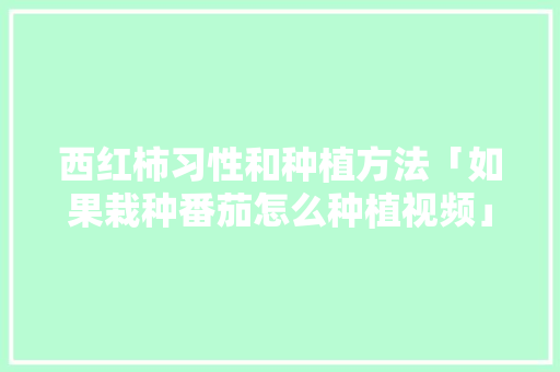 西红柿习性和种植方法「如果栽种番茄怎么种植视频」 西红柿习性和种植方法「如果栽种番茄怎么种植视频」 农业常识