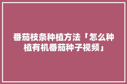 番茄枝条种植方法「怎么种植有机番茄种子视频」 番茄枝条种植方法「怎么种植有机番茄种子视频」 植物种类