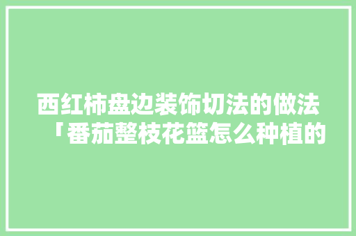 西红柿盘边装饰切法的做法「番茄整枝花篮怎么种植的视频」 西红柿盘边装饰切法的做法「番茄整枝花篮怎么种植的视频」 番茄种植技巧