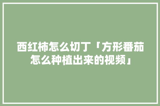 西红柿怎么切丁「方形番茄怎么种植出来的视频」 西红柿怎么切丁「方形番茄怎么种植出来的视频」 农业常识