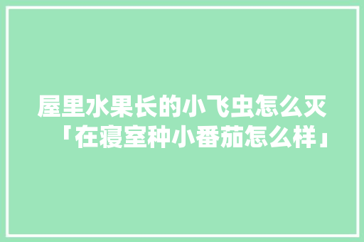 屋里水果长的小飞虫怎么灭「在寝室种小番茄怎么样」