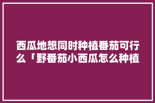 西瓜地想同时种植番茄可行么「野番茄小西瓜怎么种植视频」 西瓜地想同时种植番茄可行么「野番茄小西瓜怎么种植视频」 番茄病虫害防治