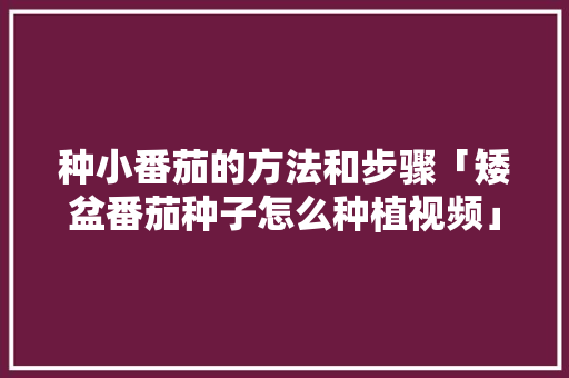 种小番茄的方法和步骤「矮盆番茄种子怎么种植视频」 种小番茄的方法和步骤「矮盆番茄种子怎么种植视频」 农业常识