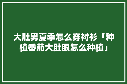 大肚男夏季怎么穿衬衫「种植番茄大肚眼怎么种植」