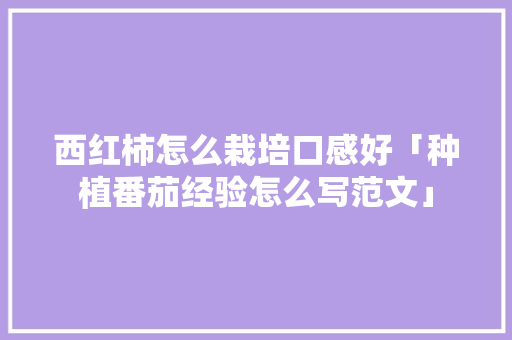 西红柿怎么栽培口感好「种植番茄经验怎么写范文」 西红柿怎么栽培口感好「种植番茄经验怎么写范文」 番茄种植技巧
