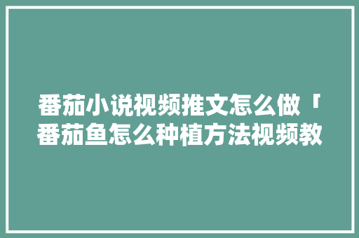 番茄小说视频推文怎么做「番茄鱼怎么种植方法视频教程」 土壤施肥 番茄小说视频推文怎么做「番茄鱼怎么种植方法视频教程」 番茄小说视频推文怎么做「番茄鱼怎么种植方法视频教程」 土壤施肥