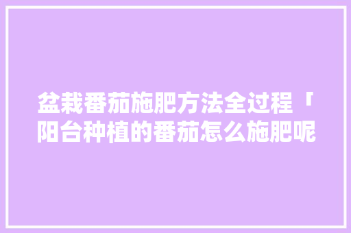 盆栽番茄施肥方法全过程「阳台种植的番茄怎么施肥呢」 盆栽番茄施肥方法全过程「阳台种植的番茄怎么施肥呢」 农业常识