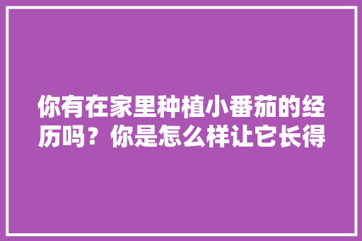 你有在家里种植小番茄的经历吗？你是怎么样让它长得更好的「家养阳台番茄怎么种植视频」 你有在家里种植小番茄的经历吗？你是怎么样让它长得更好的「家养阳台番茄怎么种植视频」 种植技巧