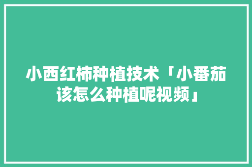 小西红柿种植技术「小番茄该怎么种植呢视频」 小西红柿种植技术「小番茄该怎么种植呢视频」 种植技巧
