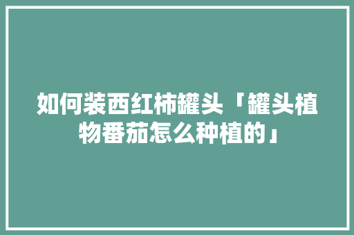 如何装西红柿罐头「罐头植物番茄怎么种植的」 种植技巧 如何装西红柿罐头「罐头植物番茄怎么种植的」 如何装西红柿罐头「罐头植物番茄怎么种植的」 种植技巧