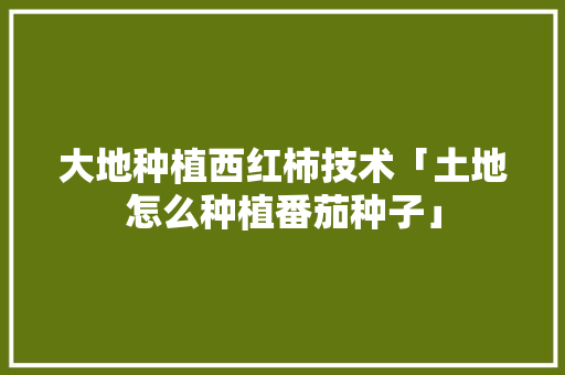 大地种植西红柿技术「土地怎么种植番茄种子」 大地种植西红柿技术「土地怎么种植番茄种子」 花朵知识