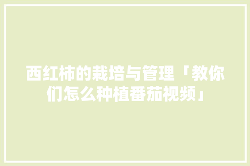 西红柿的栽培与管理「教你们怎么种植番茄视频」 土壤施肥 西红柿的栽培与管理「教你们怎么种植番茄视频」 西红柿的栽培与管理「教你们怎么种植番茄视频」 土壤施肥