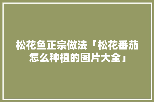 松花鱼正宗做法「松花番茄怎么种植的图片大全」