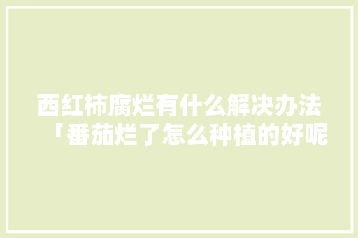 西红柿腐烂有什么解决办法「番茄烂了怎么种植的好呢」 西红柿腐烂有什么解决办法「番茄烂了怎么种植的好呢」 植物种类