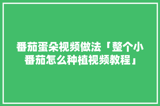 番茄蛋朵视频做法「整个小番茄怎么种植视频教程」 番茄蛋朵视频做法「整个小番茄怎么种植视频教程」 花朵知识