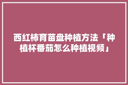 西红柿育苗盘种植方法「种植杯番茄怎么种植视频」 西红柿育苗盘种植方法「种植杯番茄怎么种植视频」 番茄种植技巧