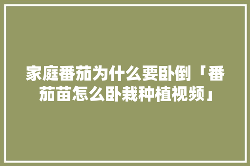 家庭番茄为什么要卧倒「番茄苗怎么卧栽种植视频」 家庭番茄为什么要卧倒「番茄苗怎么卧栽种植视频」 植物种类