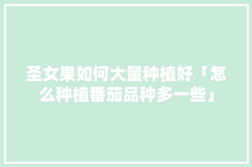 圣女果如何大量种植好「怎么种植番茄品种多一些」 圣女果如何大量种植好「怎么种植番茄品种多一些」 农业常识