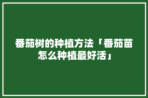 番茄树的种植方法「番茄苗怎么种植最好活」 番茄树的种植方法「番茄苗怎么种植最好活」 番茄病虫害防治