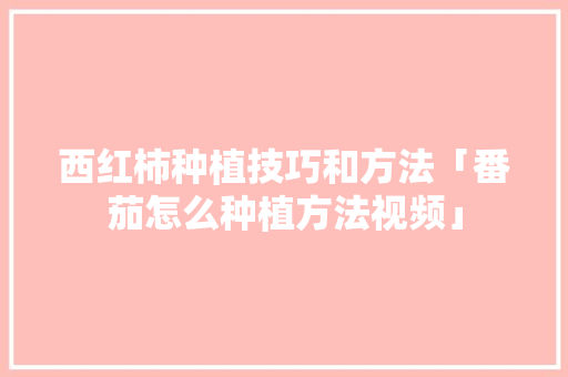 西红柿种植技巧和方法「番茄怎么种植方法视频」 西红柿种植技巧和方法「番茄怎么种植方法视频」 土壤施肥