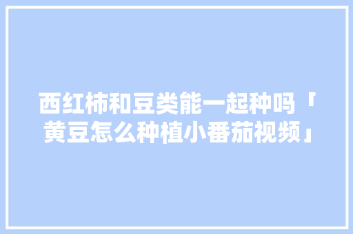 西红柿和豆类能一起种吗「黄豆怎么种植小番茄视频」 西红柿和豆类能一起种吗「黄豆怎么种植小番茄视频」 番茄病虫害防治
