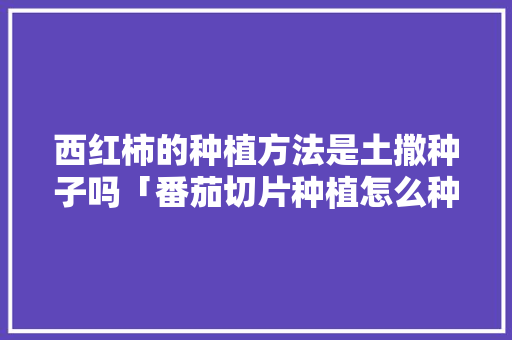 西红柿的种植方法是土撒种子吗「番茄切片种植怎么种植」 西红柿的种植方法是土撒种子吗「番茄切片种植怎么种植」 花朵知识