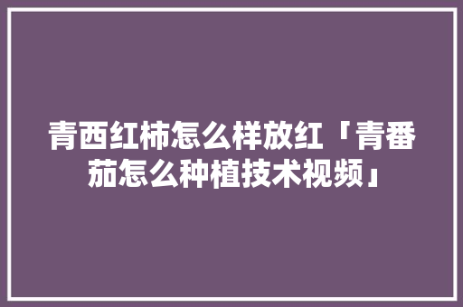 青西红柿怎么样放红「青番茄怎么种植技术视频」 青西红柿怎么样放红「青番茄怎么种植技术视频」 土壤施肥