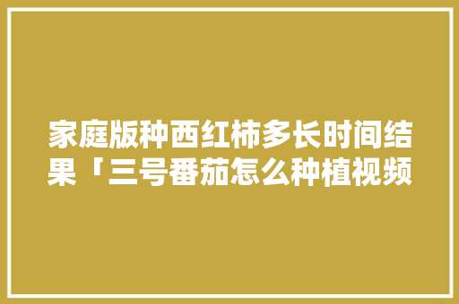 家庭版种西红柿多长时间结果「三号番茄怎么种植视频」 家庭版种西红柿多长时间结果「三号番茄怎么种植视频」 番茄种植技巧