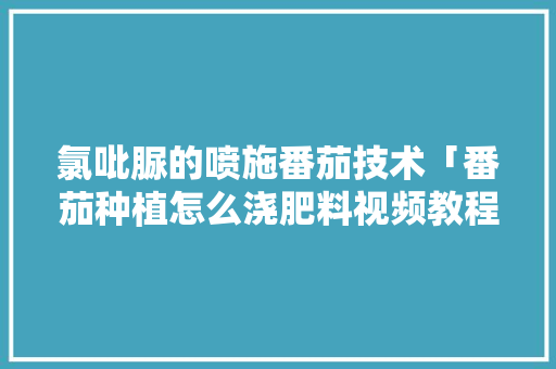 氯吡脲的喷施番茄技术「番茄种植怎么浇肥料视频教程」 植物种类 氯吡脲的喷施番茄技术「番茄种植怎么浇肥料视频教程」 氯吡脲的喷施番茄技术「番茄种植怎么浇肥料视频教程」 植物种类