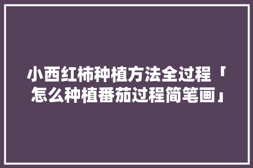 小西红柿种植方法全过程「怎么种植番茄过程简笔画」 小西红柿种植方法全过程「怎么种植番茄过程简笔画」 植物种类