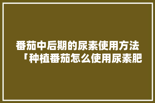 番茄中后期的尿素使用方法「种植番茄怎么使用尿素肥料」