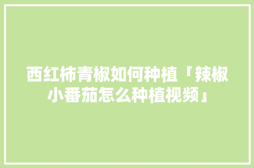 西红柿青椒如何种植「辣椒小番茄怎么种植视频」 西红柿青椒如何种植「辣椒小番茄怎么种植视频」 农业常识