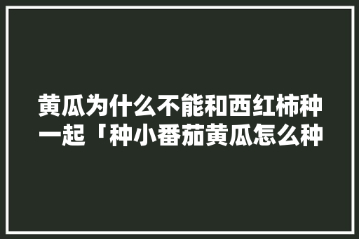 黄瓜为什么不能和西红柿种一起「种小番茄黄瓜怎么种植视频」 黄瓜为什么不能和西红柿种一起「种小番茄黄瓜怎么种植视频」 土壤施肥