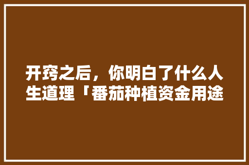 开窍之后，你明白了什么人生道理「番茄种植资金用途怎么填写」