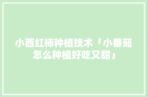小西红柿种植技术「小番茄怎么种植好吃又甜」 小西红柿种植技术「小番茄怎么种植好吃又甜」 植物种类