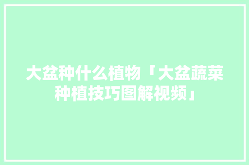 大盆种什么植物「大盆蔬菜种植技巧图解视频」 番茄种植技巧 大盆种什么植物「大盆蔬菜种植技巧图解视频」 大盆种什么植物「大盆蔬菜种植技巧图解视频」 番茄种植技巧