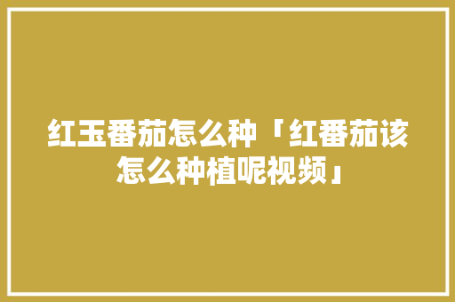 红玉番茄怎么种「红番茄该怎么种植呢视频」 红玉番茄怎么种「红番茄该怎么种植呢视频」 番茄病虫害防治