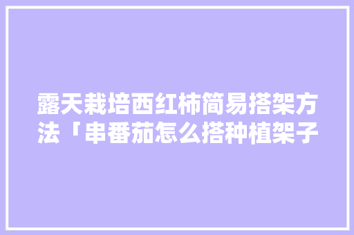 露天栽培西红柿简易搭架方法「串番茄怎么搭种植架子」 露天栽培西红柿简易搭架方法「串番茄怎么搭种植架子」 农业常识