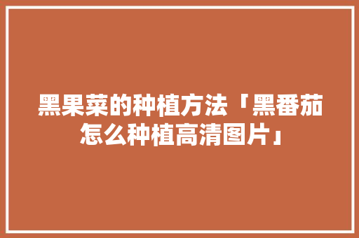 黑果菜的种植方法「黑番茄怎么种植高清图片」 黑果菜的种植方法「黑番茄怎么种植高清图片」 植物种类