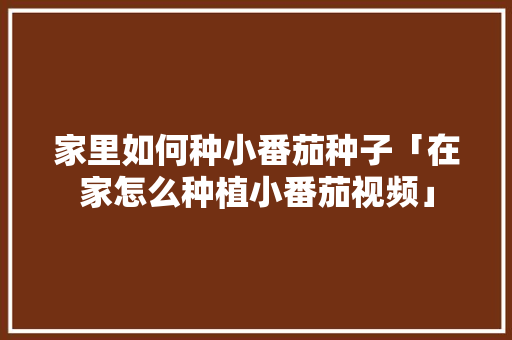 家里如何种小番茄种子「在家怎么种植小番茄视频」 家里如何种小番茄种子「在家怎么种植小番茄视频」 农业常识