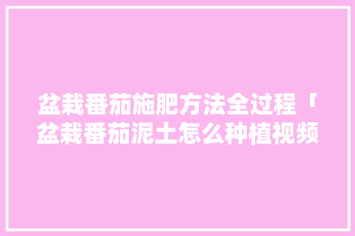 盆栽番茄施肥方法全过程「盆栽番茄泥土怎么种植视频」 盆栽番茄施肥方法全过程「盆栽番茄泥土怎么种植视频」 农业常识