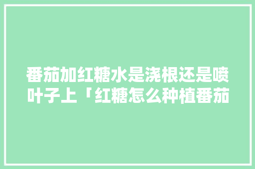 番茄加红糖水是浇根还是喷叶子上「红糖怎么种植番茄视频教程」